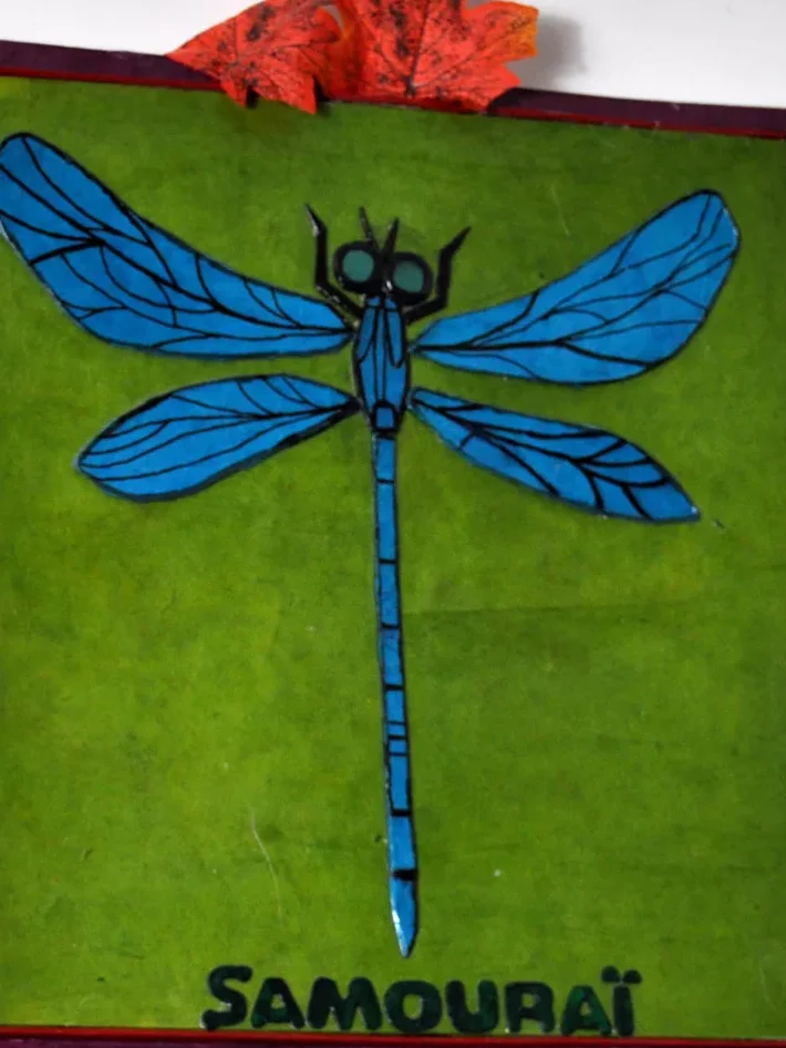 Libellule bleue sur fond vert avec le mot "SAMOURAÏ" en bas.
